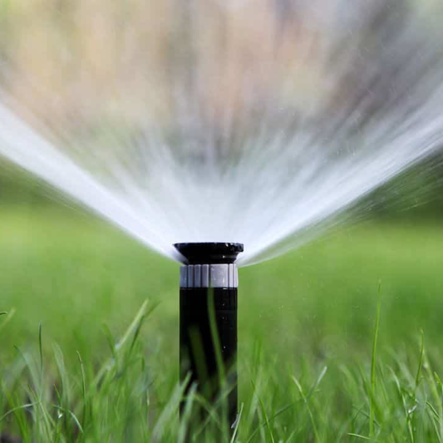 Diseño y Construcción de Riego Automático