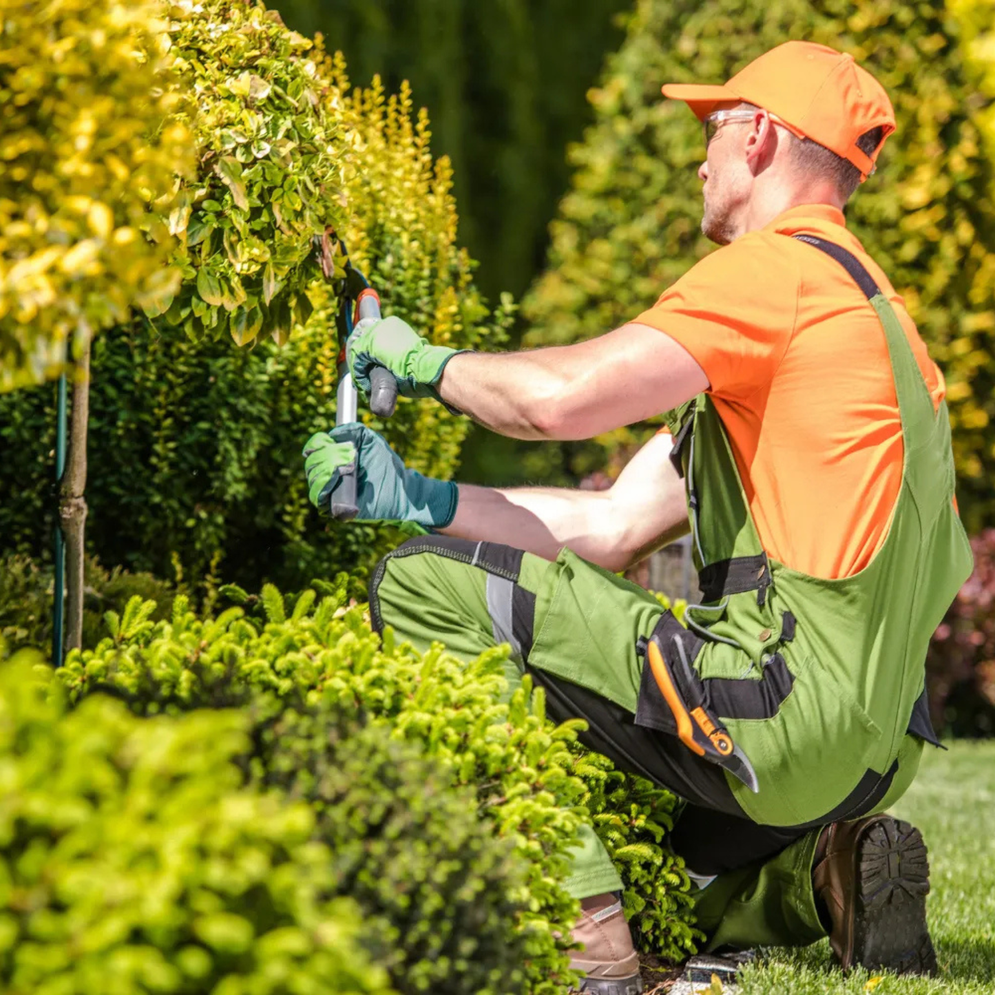 Mantención Integral Corporativa y Residencial en Áreas Verdes